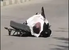 فیلم / جنازه مرد شیرازی وسط خیابان از ماشین نعش کش بیرون افتاد 