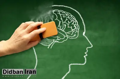 درمان جدید بیماری آلزایمر/ تیازولیدیندیون‌ها درمان کننده آلزایمر هستند 