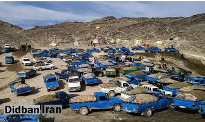 قتل ۹ نفر از اعضای ۲ طایفه بر سر قاچاق سوخت در زاهدان