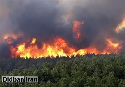 هشدار محیط‌زیست درباره افزایش خطر آتش‌سوزی در جنگل‌ها و مراتع گیلان