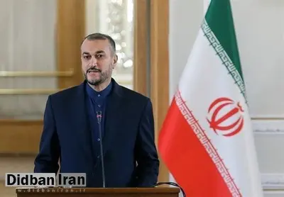 امیر عبدللهیان: ایران هراسی در بین ایرانیان خارج از کشور یک معضل شده/ بحث ایرانیان دو تابعیتی باید یکبار برای همیشه حل شود