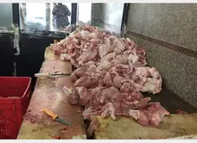 پذیرایی در تالار پذیرایی با مرغ های فاسد
