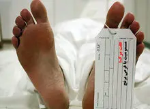 قرص برنج در مازندران ۱۹ کشته بر جای گذاشت