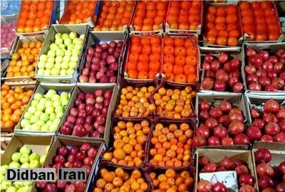 مخالفت وزارت جهادکشاورزی با واردات سیب و پرتقال/واردات موز در برابر صادرات سیب