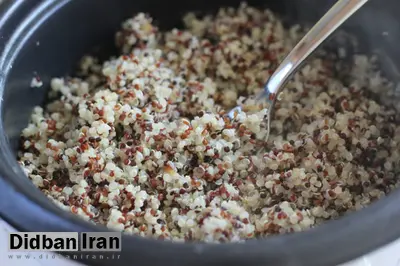فائو به ایران پیشنهاد داد؛ شبه برنج آمریکایی جایگزین کشت برنج شود