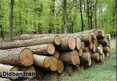 کشف 6 تن چوب آلات جنگلی قاچاق در آمل