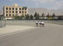 آغاز اردوی تیم ملی اسکیت سرعت برای حضور در قهرمانی جهان