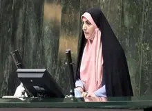 عضو کمیسیون آموزش مجلس: اخراج اساتید را در کمیسیون آموزش پیگیری می‌کنیم/ سرمایه اجتماعی را نمی‌توانیم به راحتی فدای مداخلات سیاسی کنیم