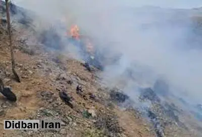 انفجار در شیراز/ اصابت ریزپرنده و آتشسوزی در اراضی کشاورزی