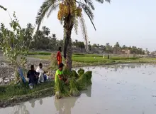 آیا مجلس یازدهم با یک مصوبه به دنبال خشک کردن سفره های آب زیر زمینی است؟!