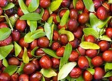 خواص شگفت‌انگیز عناب؛ از کاهش کلسترول تا تقویت پوست