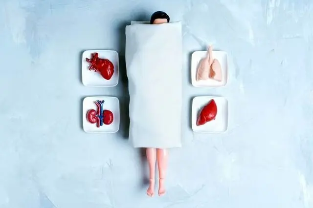 از غده میمون تا «خون جوان»: تاریخ عجیب پیوند عضو برای جاودانگی