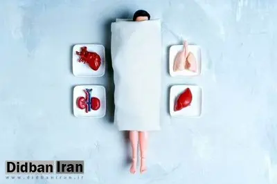 از غده میمون تا «خون جوان»: تاریخ عجیب پیوند عضو برای جاودانگی