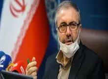 ذوالفقاری: مجوزی برای زائران اربعین از سوی عراق صادر نشده است/  مراسم قرائت زیارت اربعین برگزار می شود