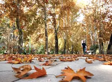 منتظر پاییز خنک نباشید