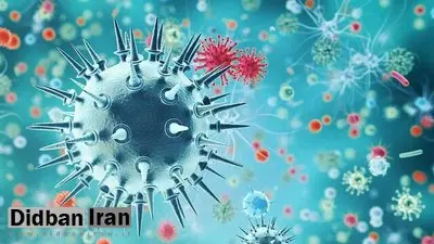 آنفلوآنزا همچنان بیش از ۲ برابر آستانه هشدار بالا 