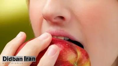 مغز شما پیش از آنکه بدانید خوراکیتان را انتخاب میکند