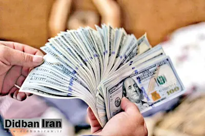 دلار 100هزار تومانی با ورود ترامپ به کاخ سفید؟ / سیاست دولت در بازار ارز اهمیت زیادی دارد
