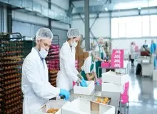 رویترز به نقل از سازمانی در چین: بسته‌های یخ زده غذایی هم می‌توانند ناقل کرونا باشند