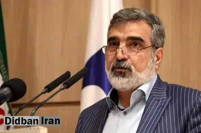 کمالوندی: ایران تنها کشوری نیست که غنیسازی میکند و در عین حال سلاح هستهای ندارد