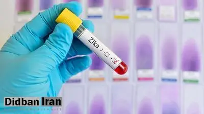 هشدار محققان: ویروس زیکا تنها یک جهش با جرقه شیوع گستردهتر فاصله دارد