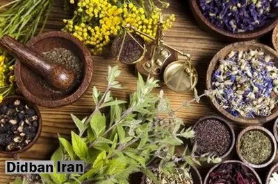 ۳ گیاه آرامبخش برای درمان درد و التهاب معده را بشناسید