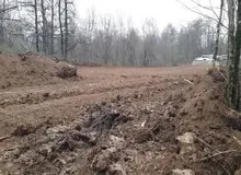 مدیر مجموعه گردشگری الیمالات نور به علت تخریب جنگل بازداشت شد‌