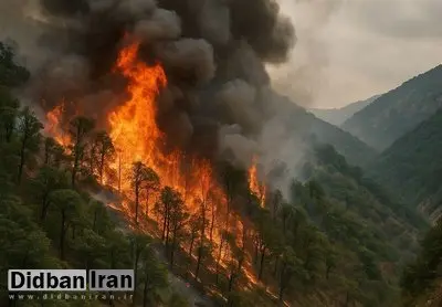 خبرهای جدید از آتش سوزی گسترده در جنگل گلستان/ایلیوشین به کمک می آید/ معاون اول رئیس جمهور دستورات مهم صادر کرد