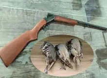 ۵۳ متخلف شکار و صید در چهار ماه گذشته در شهرستان سقز دستگیر شدند