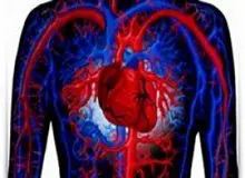 علائم هشدار دهنده گردش خون ضعیف