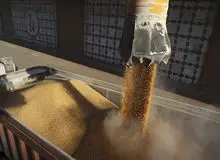 خرید تضمینی گندم در کشور از ۴ میلیون تن گذشت